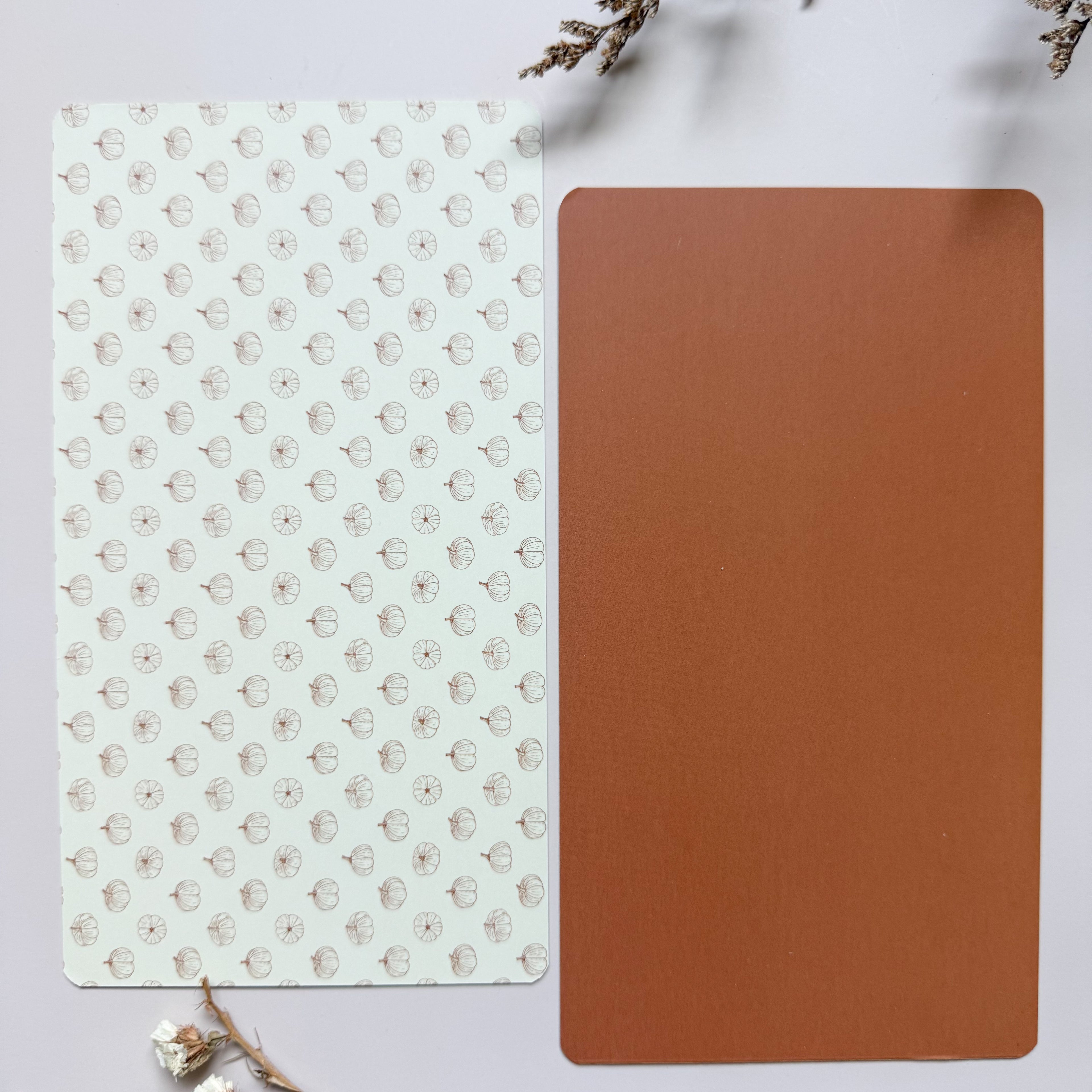 Reversible Duo Backer Cards - Pumpkin & Terracotta 10pk