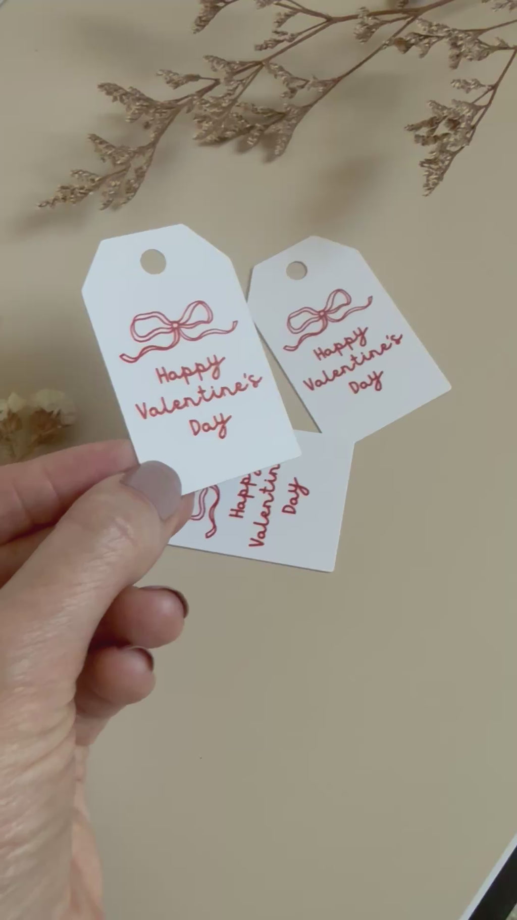 Happy Valentine's Day Gift Tag (25 pack)