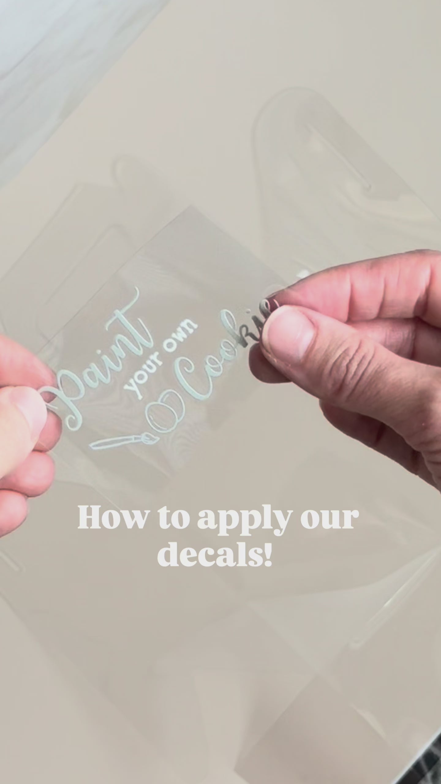 Paint Your Own Cookie Vinyl Decal (5 pack)