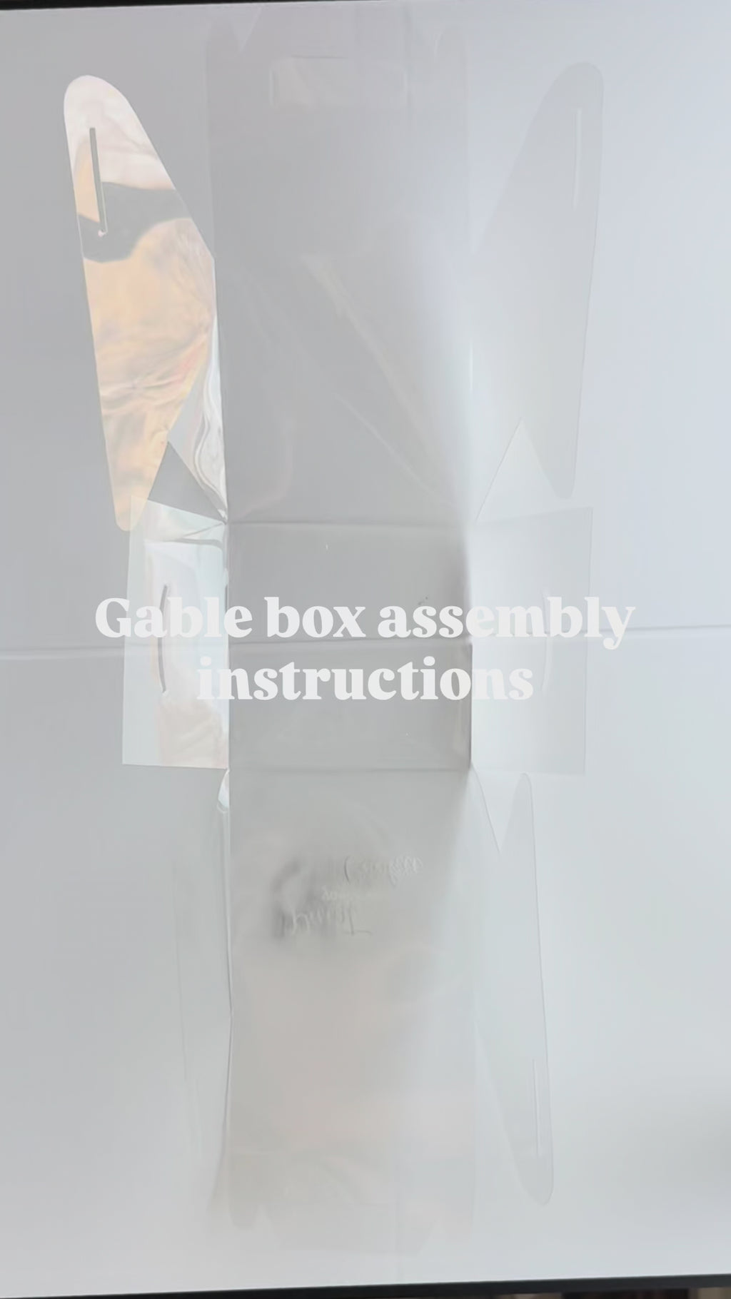 Clear gable box with scalloped tray (5 pack)